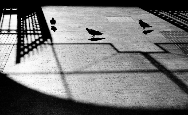 Clicca per l'immagine full size