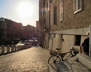 IMG_5050.JPG