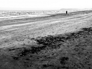 Nome File=terre_di_confine.JPG
Dimensione File=242KB
Dimensioni=1024x770
Data aggiunta=Apr 28, 2011 terre_di_confine.JPG