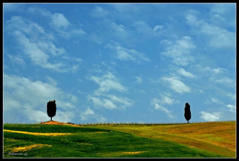 Clicca per l'immagine full size