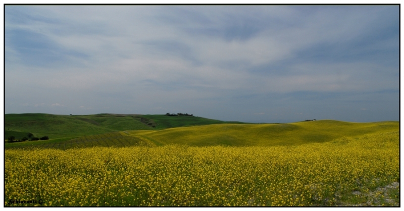 Clicca per l'immagine full size