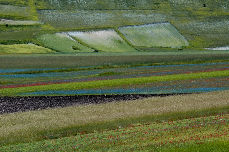 Clicca per l'immagine full size