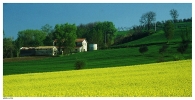 Nome File=GIALLO.jpg
Dimensione File=153KB
Dimensioni=850x437
Data aggiunta=Lug 30, 2009 GIALLO.jpg