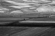 Nome File=_DSC5215-copia.jpg
Dimensione File=389KB
Dimensioni=900x598
Data aggiunta=Lug 20, 2011 _DSC5215-copia.jpg