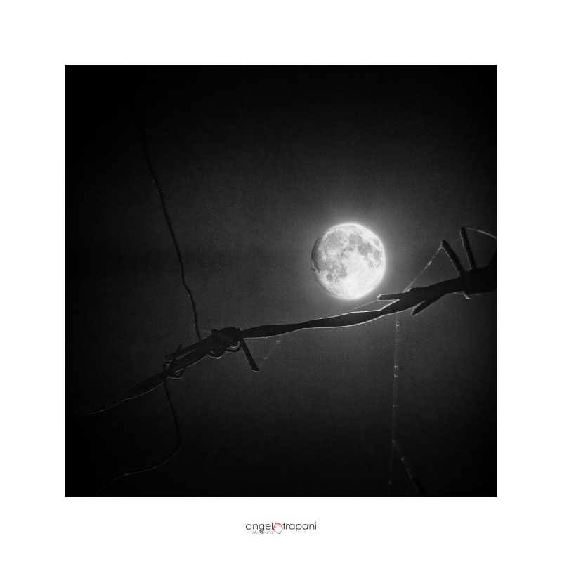 Clicca per l'immagine full size