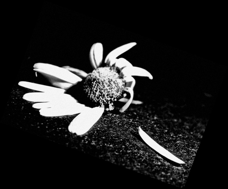 Clicca per l'immagine full size