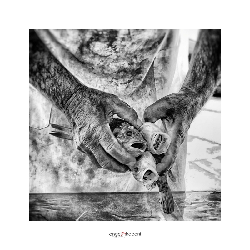 Clicca per l'immagine full size