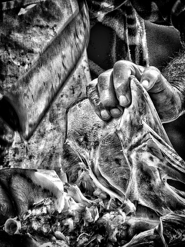 Clicca per l'immagine full size