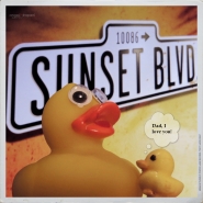 Nome File=Duck___SonDad.jpg
Dimensione File=489KB
Dimensioni=1200x1200
Data aggiunta=Giu 09, 2016 Duck___SonDad.jpg