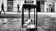 Nome File=Frau.jpg
Dimensione File=447KB
Dimensioni=1200x675
Data aggiunta=Mar 05, 2024 Frau.jpg