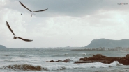 Nome File=I_can_Fly_2.jpg
Dimensione File=329KB
Dimensioni=1200x675
Data aggiunta=Lug 15, 2024 I_can_Fly_2.jpg