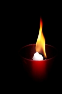 Nome File=Il_mio_cuore_è_a_Brindisi.jpg
Dimensione File=93KB
Dimensioni=683x1024
Data aggiunta=Mag 20, 2012 Il_mio_cuore_è_a_Brindisi.jpg