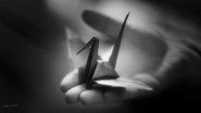 Nome File=Japanese_short_story_4.jpg
Dimensione File=209KB
Dimensioni=1200x675
Data aggiunta=Nov 28, 2016 Japanese_short_story_4.jpg