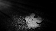 Nome File=La_vita.jpg
Dimensione File=223KB
Dimensioni=1200x675
Data aggiunta=Nov 02, 2016 La_vita.jpg