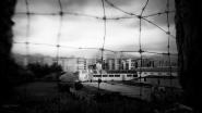Nome File=Libertà .jpg
Dimensione File=224KB
Dimensioni=1200x675
Data aggiunta=Ott 28, 2016 Libertà .jpg