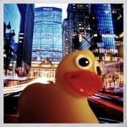 Nome File=NY_concrete_jungle_where_dreams_are_made_off.jpg
Dimensione File=570KB
Dimensioni=1200x1200
Data aggiunta=Giu 02, 2016 NY_concrete_jungle_where_dreams_are_made_off.jpg