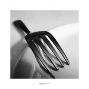 Omaggio_ad_André_Kertész.jpg Omaggio_ad_André_Kertész.jpg
