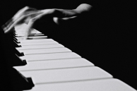Nome File=Pianista.jpg
Dimensione File=182KB
Dimensioni=1000x665
Data aggiunta=Lug 22, 2009 Pianista.jpg