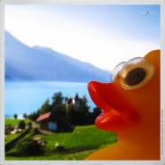 Nome File=Quack.jpg
Dimensione File=453KB
Dimensioni=1200x1200
Data aggiunta=Mag 17, 2016 Quack.jpg