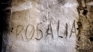 Rosalia~0.jpg