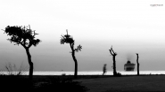 Filename=Run_1.jpg
Filesize=227KB
Dimensions=1200x675
Date added=Jan 23, 2023 Run_1.jpg