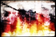 Nome File=Shoah.jpg
Dimensione File=582KB
Dimensioni=1200x800
Data aggiunta=Gen 27, 2013 Shoah.jpg