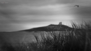 Nome File=Terra_mia.jpg
Dimensione File=233KB
Dimensioni=1200x675
Data aggiunta=Nov 18, 2016 Terra_mia.jpg