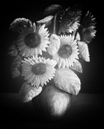 Nome File=i_Girasoli.jpg
Dimensione File=387KB
Dimensioni=828x1024
Data aggiunta=Lug 29, 2011 i_Girasoli.jpg