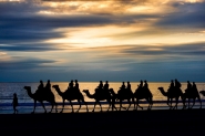 Camel_ride.jpg