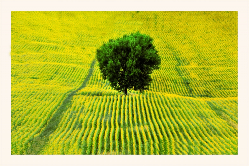 Clicca per l'immagine full size