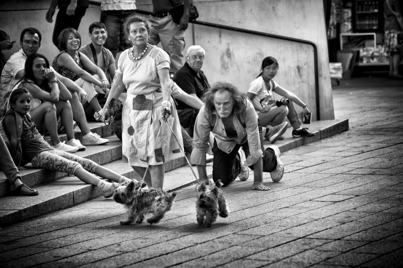 Clicca per l'immagine full size