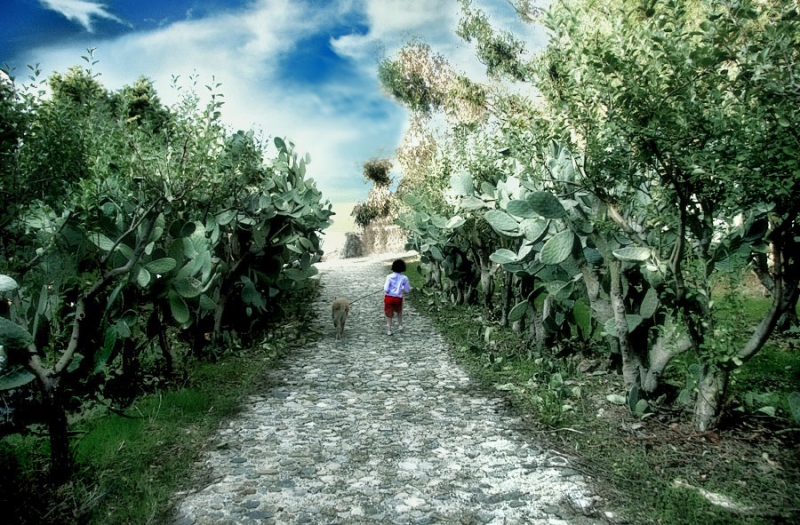 Clicca per l'immagine full size