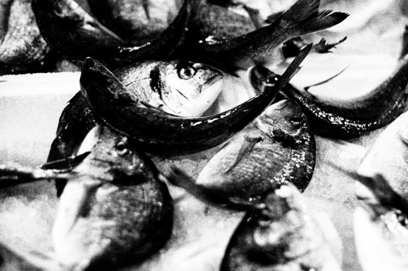 Clicca per l'immagine full size