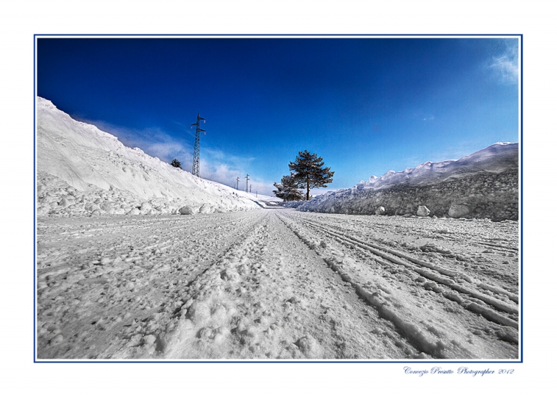 Clicca per l'immagine full size