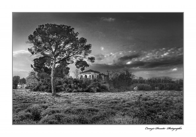 Clicca per l'immagine full size