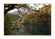 Nome File=Autunno_sul_lago.jpg
Dimensione File=333KB
Dimensioni=1000x705
Data aggiunta=Nov 08, 2009 Autunno_sul_lago.jpg
