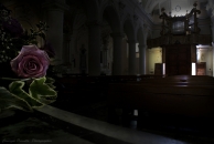 Nome File=Una_rosa_per_____.jpg
Dimensione File=349KB
Dimensioni=1000x667
Data aggiunta=Nov 11, 2009 Una_rosa_per_____.jpg