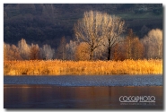 Tramonto_Torbiere4.jpg