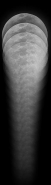 Nome File=aab_1000.jpg
Dimensione File=90KB
Dimensioni=276x1000
Data aggiunta=Mar 29, 2017 aab_1000.jpg
