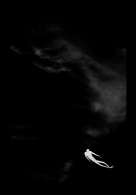 anima_2_900.jpg anima_2_900.jpg