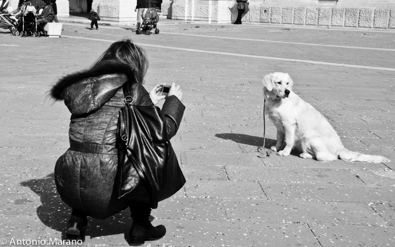 Clicca per l'immagine full size