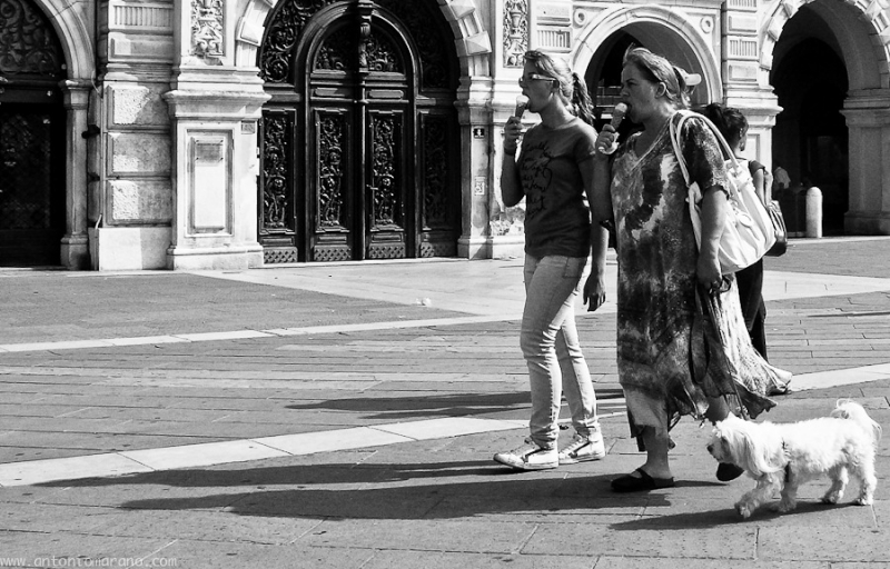 Clicca per l'immagine full size