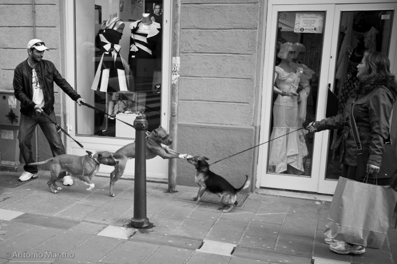 Clicca per l'immagine full size