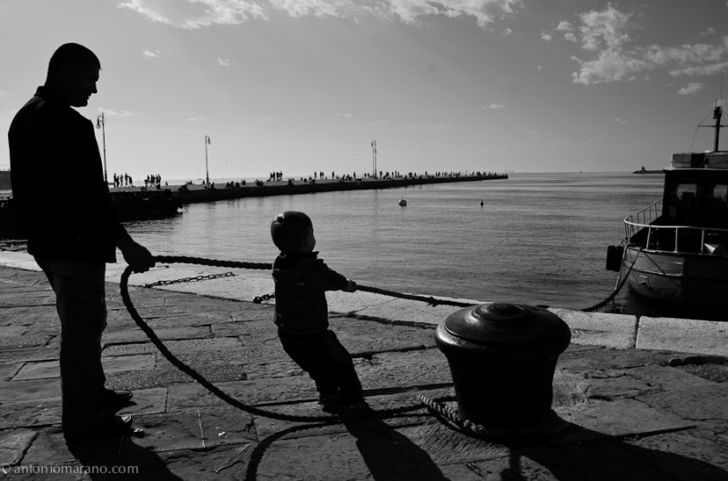 Clicca per l'immagine full size