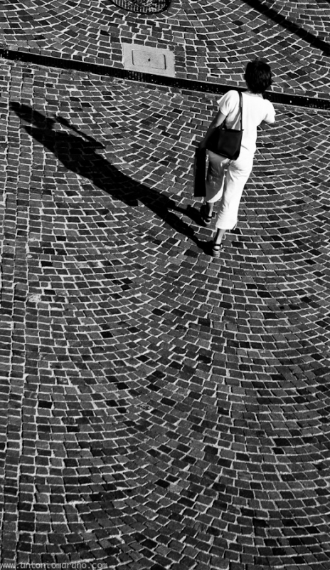 Clicca per l'immagine full size
