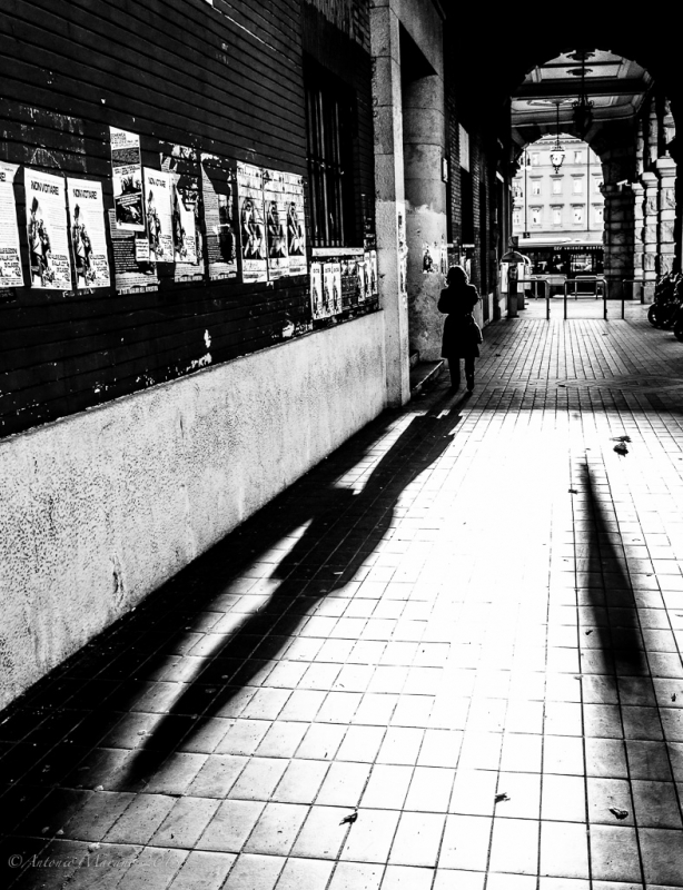 Clicca per l'immagine full size