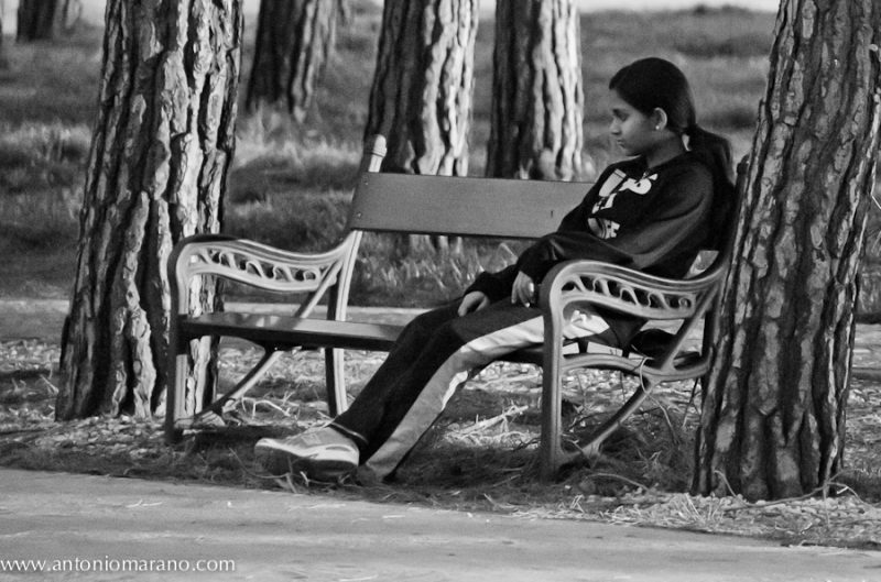 Clicca per l'immagine full size