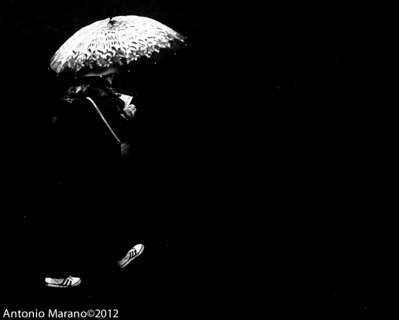 Clicca per l'immagine full size