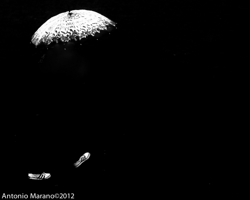 Clicca per l'immagine full size