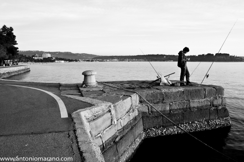 Clicca per l'immagine full size